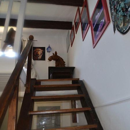 Gites Chambres D'Hotes Mazet Du Marechal Ferrant Saintes-Maries-de-la-Mer Exteriér fotografie