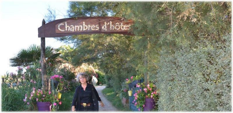 Gites Chambres D'Hotes Mazet Du Marechal Ferrant Saintes-Maries-de-la-Mer Exteriér fotografie