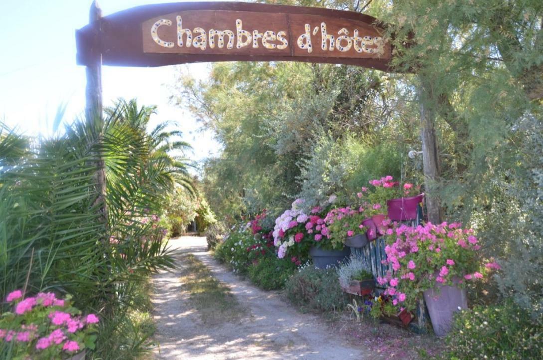 Gites Chambres D'Hotes Mazet Du Marechal Ferrant Saintes-Maries-de-la-Mer Exteriér fotografie