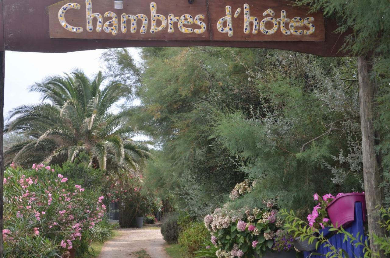 Gites Chambres D'Hotes Mazet Du Marechal Ferrant Saintes-Maries-de-la-Mer Exteriér fotografie