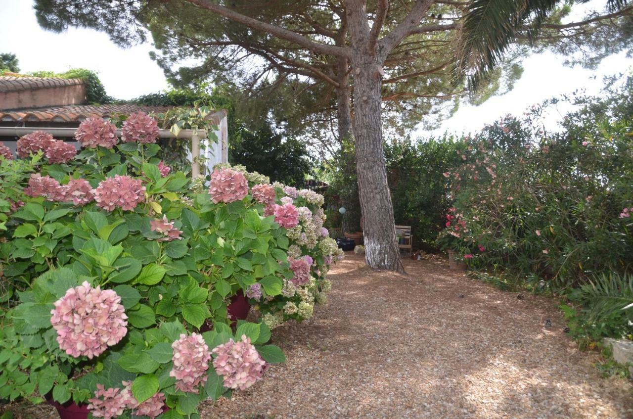 Gites Chambres D'Hotes Mazet Du Marechal Ferrant Saintes-Maries-de-la-Mer Exteriér fotografie